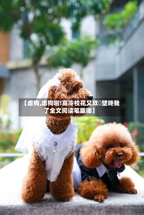 【虐狗,虐狗啦!高冷校花又双叒壁咚我了全文阅读笔趣阁】-第1张图片