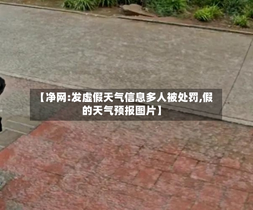 【净网:发虚假天气信息多人被处罚,假的天气预报图片】-第1张图片