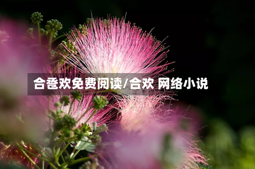 合卺欢免费阅读/合欢 网络小说-第1张图片