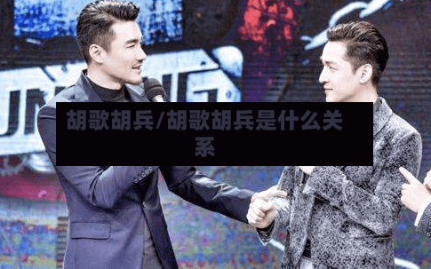 胡歌胡兵/胡歌胡兵是什么关系-第1张图片