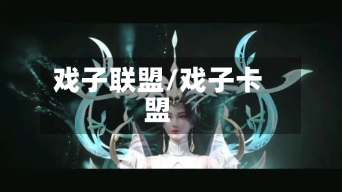 戏子联盟/戏子卡盟-第3张图片