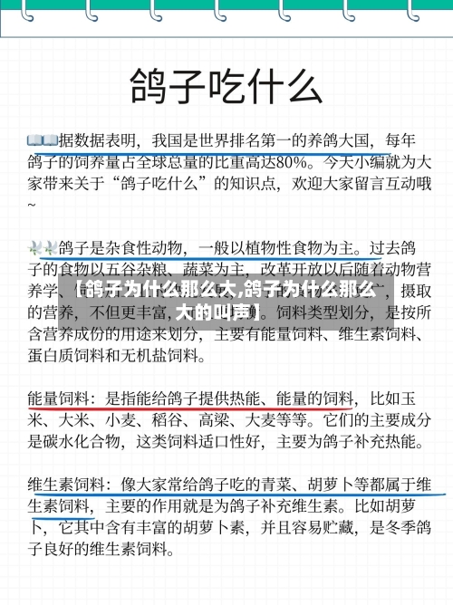 【鸽子为什么那么大,鸽子为什么那么大的叫声】-第2张图片