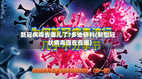 新冠病毒去哪儿了?多地研判(新型冠状病毒现在在哪)-第1张图片