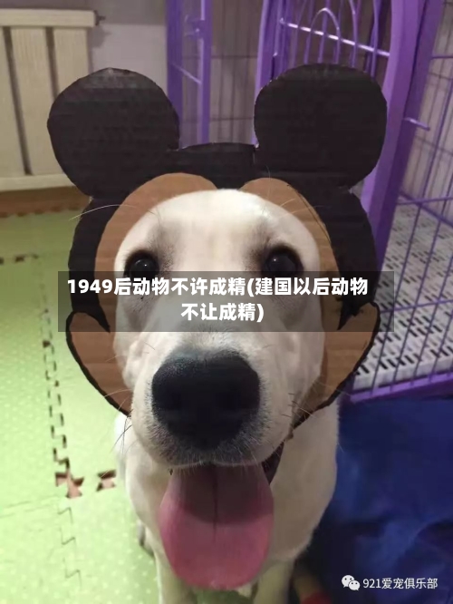1949后动物不许成精(建国以后动物不让成精)-第1张图片
