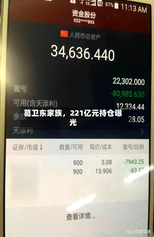 葛卫东家族，221亿元持仓曝光-第1张图片