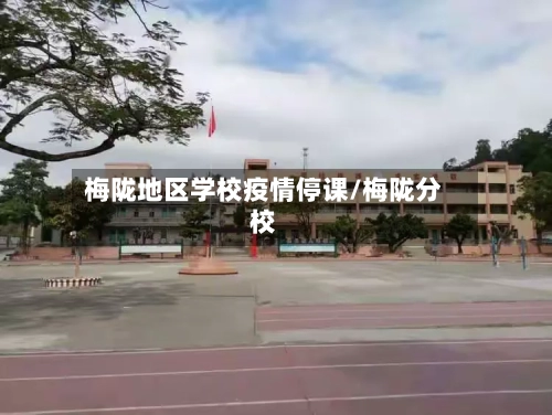 梅陇地区学校疫情停课/梅陇分校-第2张图片