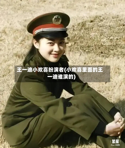 王一迪小欢喜扮演者(小欢喜里面的王一迪谁演的)-第2张图片