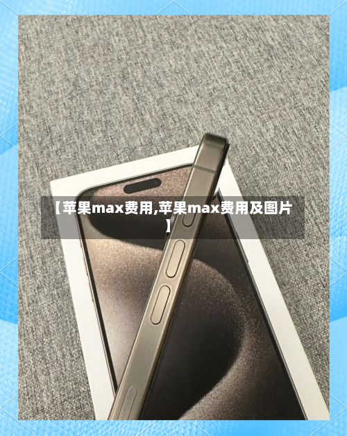 【苹果max费用,苹果max费用及图片】-第3张图片
