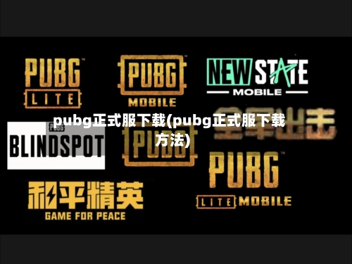 pubg正式服下载(pubg正式服下载方法)-第1张图片