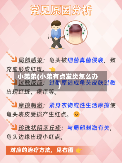 小弟弟(小弟有点发炎怎么办)-第3张图片