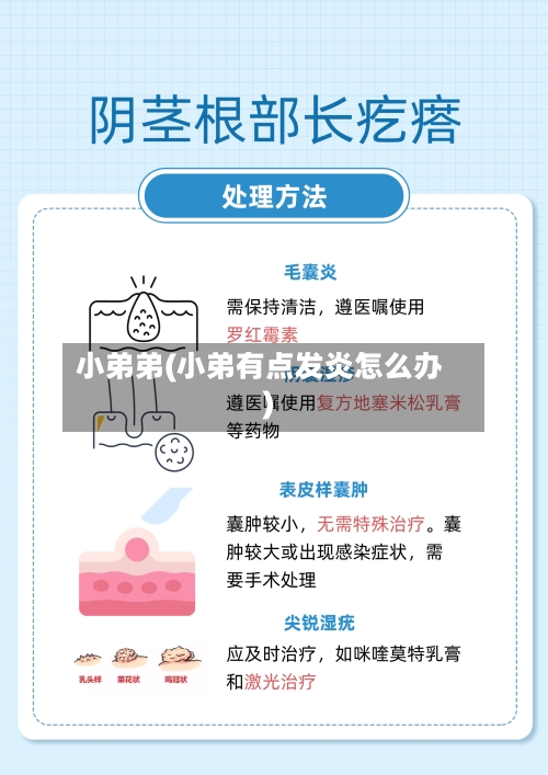 小弟弟(小弟有点发炎怎么办)-第1张图片
