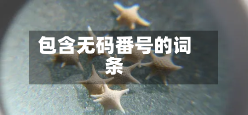 包含无码番号的词条-第3张图片