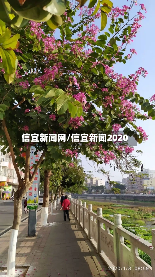 信宜新闻网/信宜新闻2020-第1张图片
