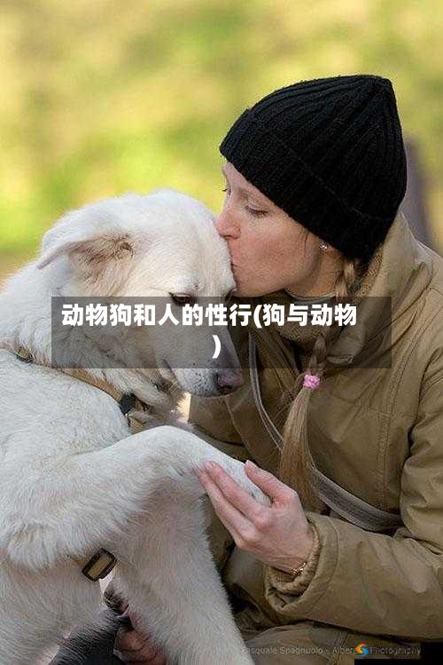 动物狗和人的性行(狗与动物)-第2张图片