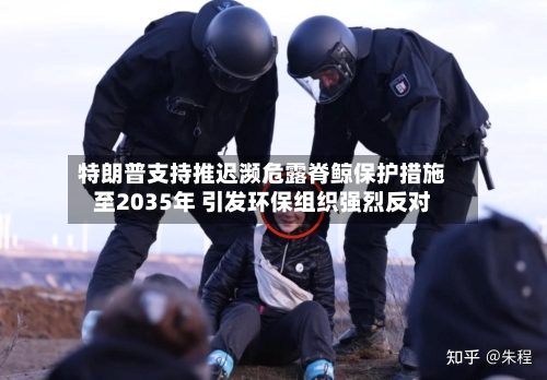 特朗普支持推迟濒危露脊鲸保护措施至2035年 引发环保组织强烈反对-第1张图片