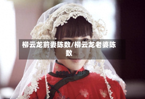 柳云龙前妻陈数/柳云龙老婆陈数-第1张图片
