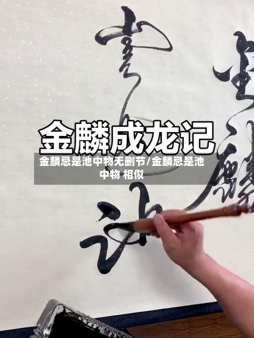 金麟忌是池中物无删节/金麟忌是池中物 相似-第1张图片