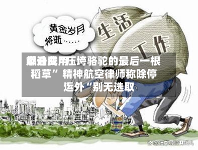 燃油费用飙升成“压垮骆驼的最后一根稻草	” 精神航空律师称除停运外“别无选取”-第1张图片