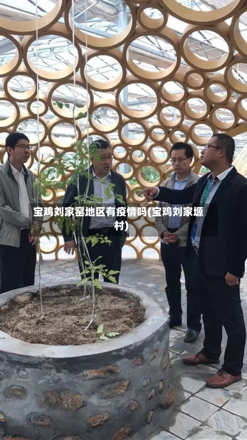 宝鸡刘家窑地区有疫情吗(宝鸡刘家塬村)-第1张图片