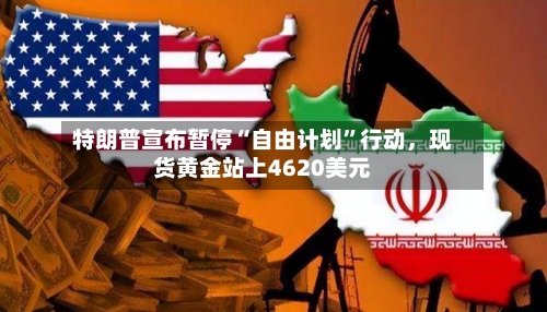 特朗普宣布暂停“自由计划	”行动，现货黄金站上4620美元-第3张图片