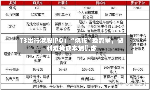 T3出行港股IPO：“烧钱”换流量	，微利难掩成本端焦虑-第2张图片