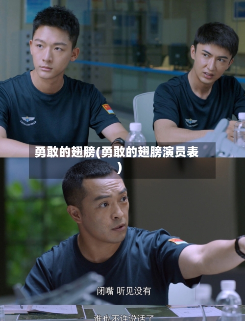 勇敢的翅膀(勇敢的翅膀演员表)-第2张图片