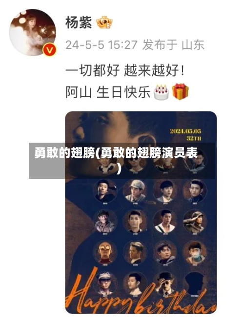 勇敢的翅膀(勇敢的翅膀演员表)-第1张图片