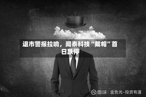 退市警报拉响，闻泰科技“戴帽”首日跌停-第2张图片