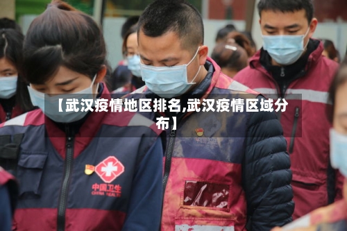 【武汉疫情地区排名,武汉疫情区域分布】-第2张图片