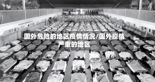 国外危险的地区疫情情况/国外疫情严重的地区-第2张图片