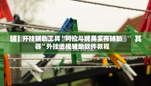 开挂辅助工具“阿拉斗牌其实有辅助器”外挂透视辅助软件教程-第1张图片
