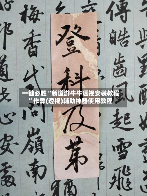 一键必胜“新道游牛牛透视安装教程”作弊(透视)辅助神器使用教程-第2张图片