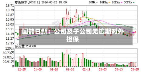 国能日新：公司及子公司无逾期对外担保-第2张图片