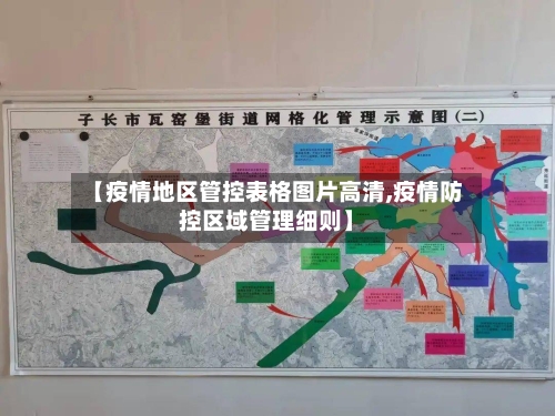 【疫情地区管控表格图片高清,疫情防控区域管理细则】-第2张图片
