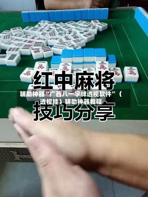 辅助神器“广西八一字牌透视软件”（透视挂）辅助神器教程-第1张图片