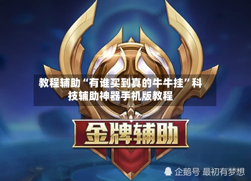 教程辅助“有谁买到真的牛牛挂”科技辅助神器手机版教程-第3张图片