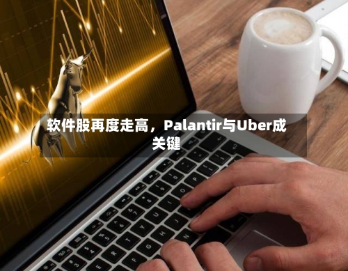 软件股再度走高，Palantir与Uber成关键-第1张图片