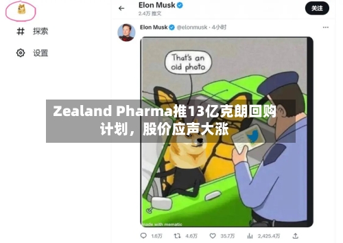 Zealand Pharma推13亿克朗回购计划，股价应声大涨-第1张图片