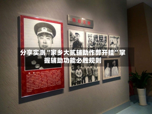 分享实测“家乡大贰辅助作弊开挂”掌握辅助功能必胜规则-第3张图片
