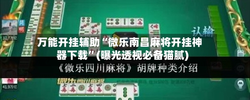 万能开挂辅助“微乐南昌麻将开挂神器下载”(曝光透视必备猫腻)-第1张图片