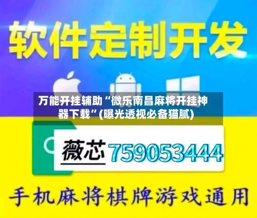 万能开挂辅助“微乐南昌麻将开挂神器下载”(曝光透视必备猫腻)-第3张图片