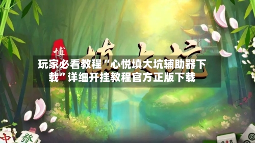 玩家必看教程“心悦填大坑辅助器下载”详细开挂教程官方正版下载-第1张图片