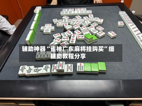 辅助神器“雀神广东麻将挂购买”细辅助教程分享-第3张图片
