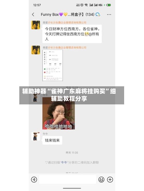 辅助神器“雀神广东麻将挂购买”细辅助教程分享-第2张图片