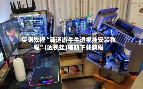 实测教程“新道游牛牛透视挂安装教程”(透视挂)辅助下载教程-第2张图片