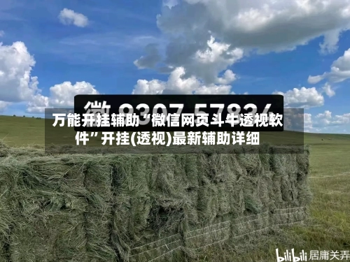 万能开挂辅助“微信网页斗牛透视软件”开挂(透视)最新辅助详细-第3张图片
