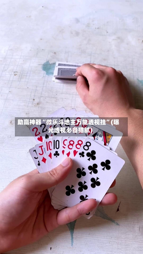 助赢神器“微乐斗地主万能透视挂”(曝光透视必备猫腻)-第2张图片