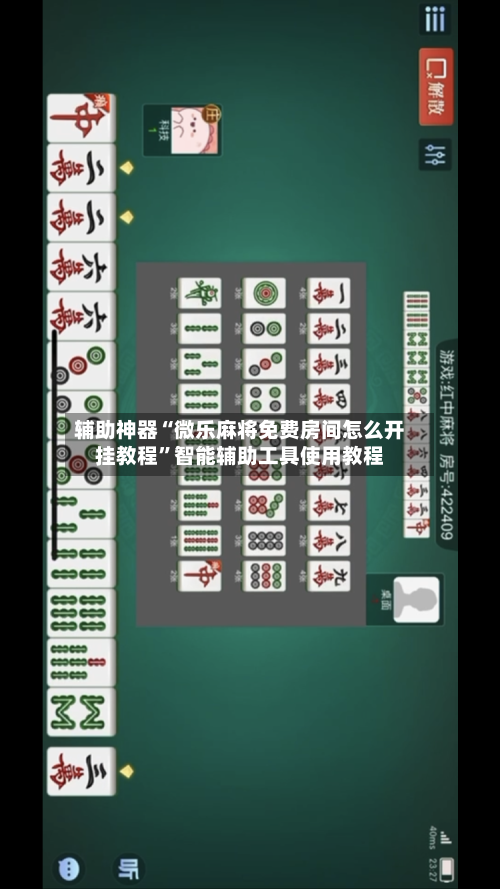 辅助神器“微乐麻将免费房间怎么开挂教程”智能辅助工具使用教程-第3张图片