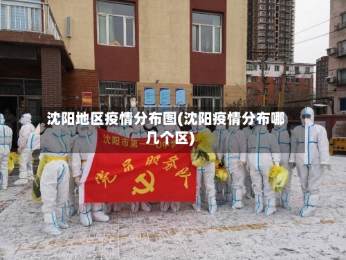 沈阳地区疫情分布图(沈阳疫情分布哪几个区)-第1张图片