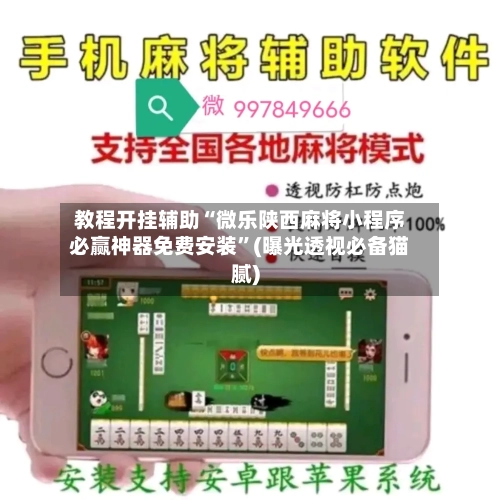 教程开挂辅助“微乐陕西麻将小程序必赢神器免费安装”(曝光透视必备猫腻)-第2张图片